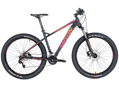 Moutainbike Canyon Rainbow 37 Mountainbike Hardtail Canyon Rainbow 37